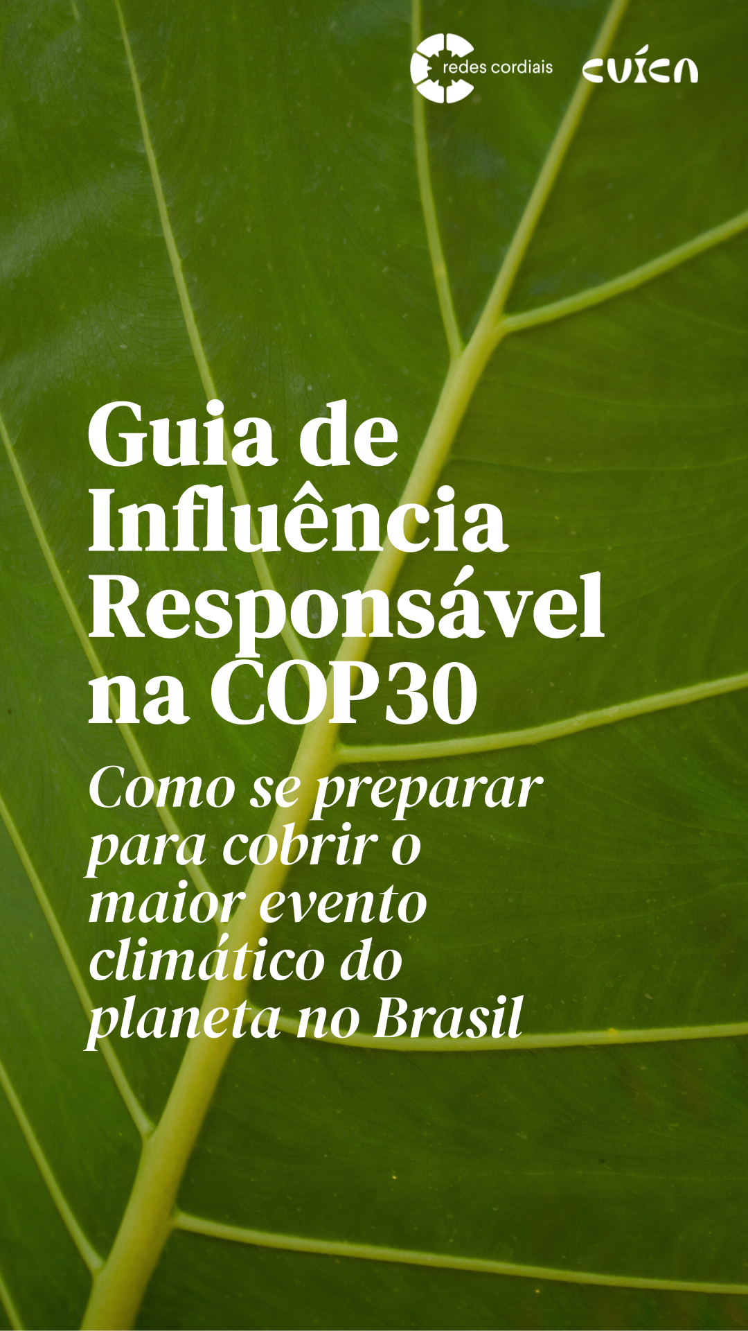 Agência Cuíca e Redes Cordiais lançam 